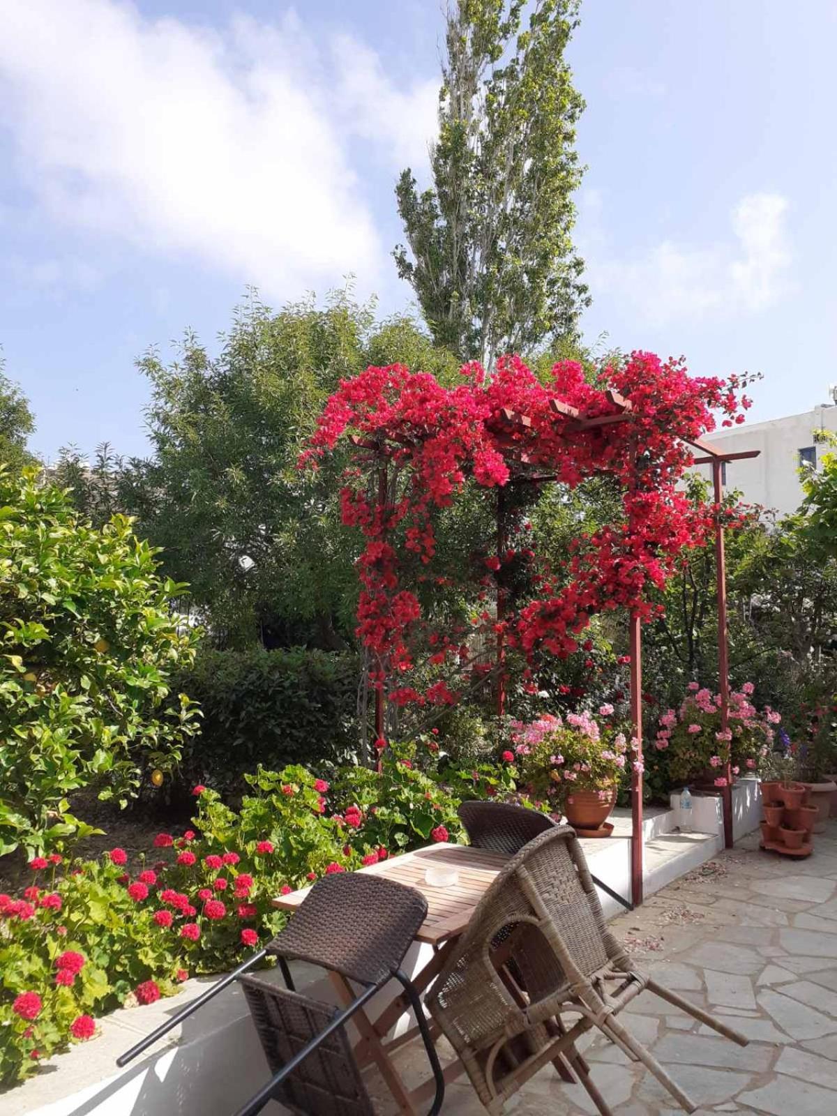 Kipos Apartment Apollonia  Bagian luar foto