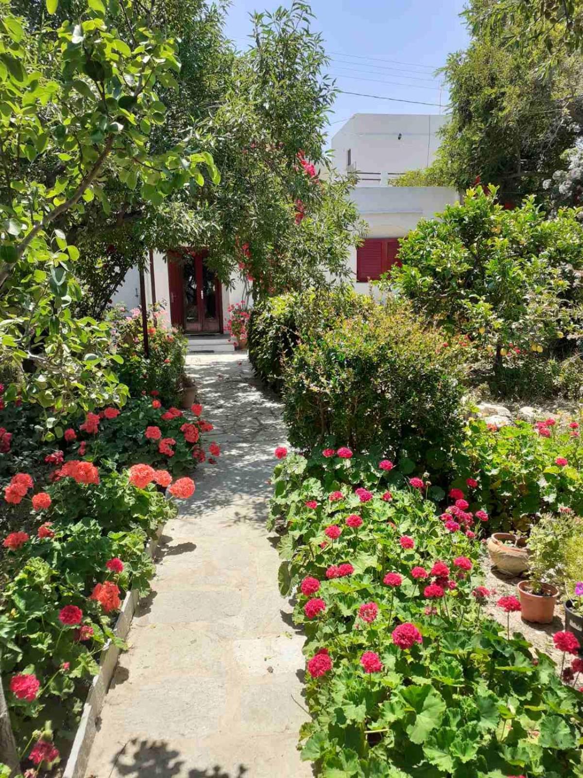 Kipos Apartment Apollonia  Bagian luar foto