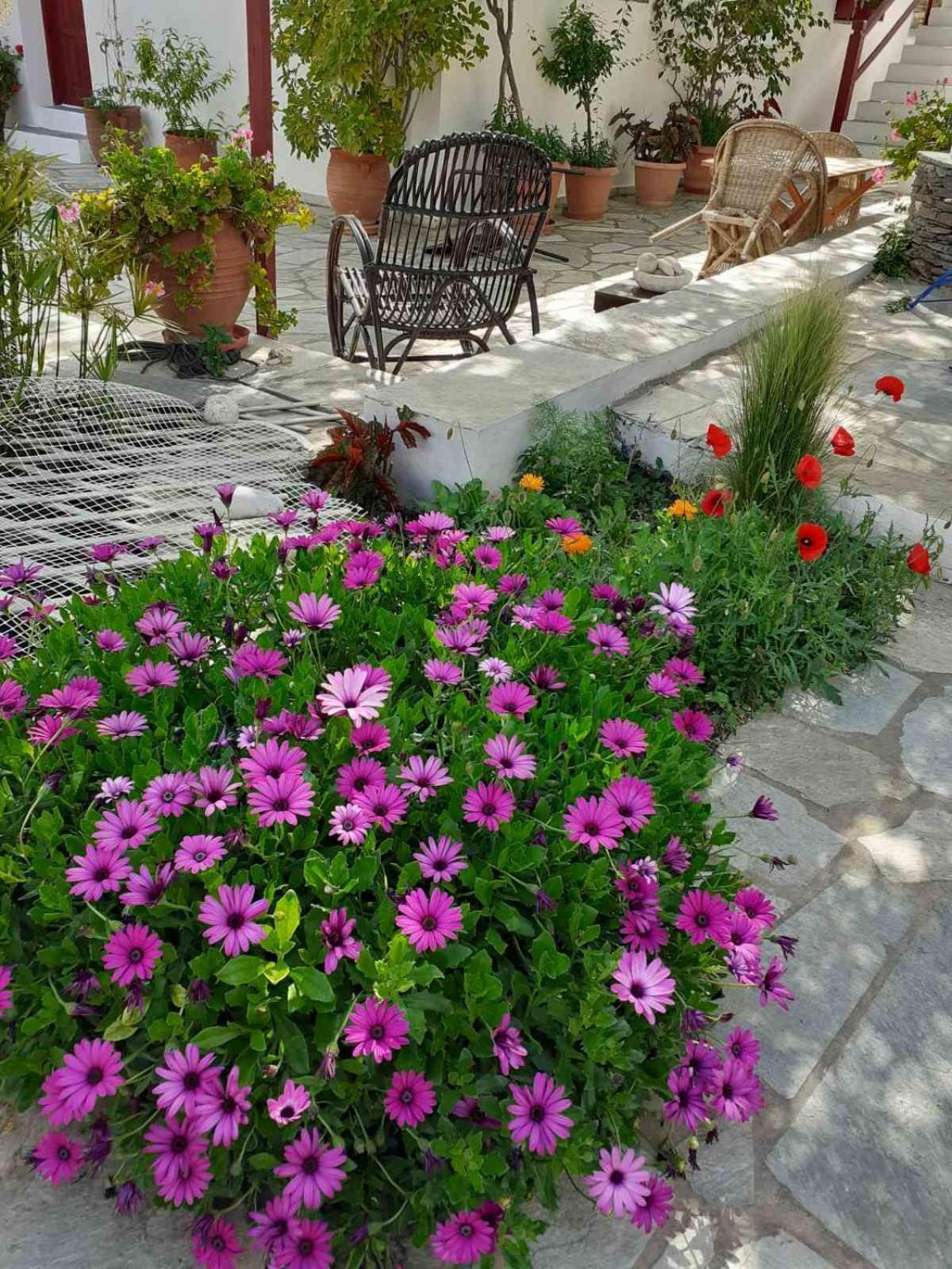 Kipos Apartment Apollonia  Bagian luar foto